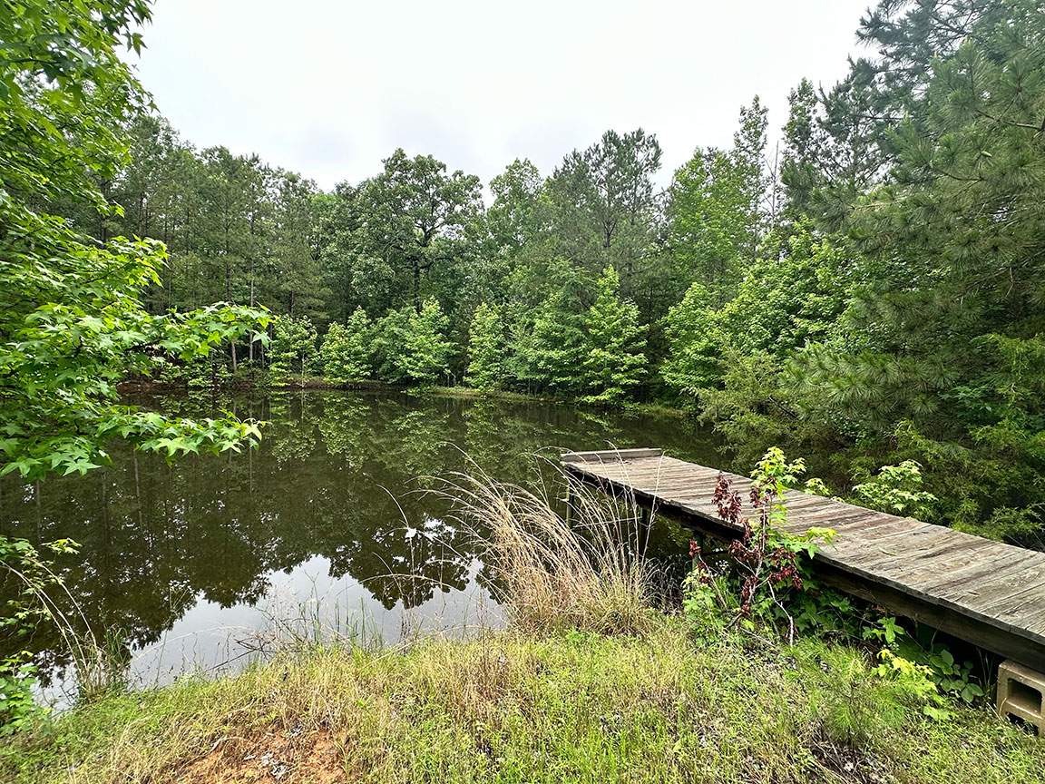 Welcome to our new website!